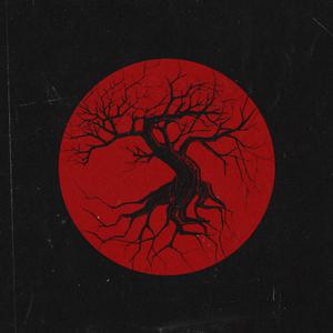 2019日本不卡二区
