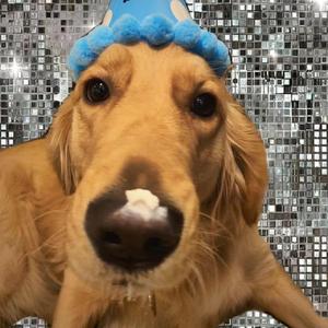 2019日本不卡二区
