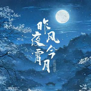 2019日本不卡二区
