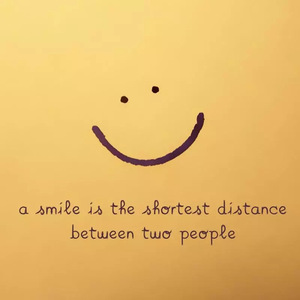 2019日本不卡二区
