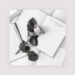 2019日本不卡二区
